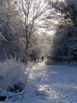Photo10